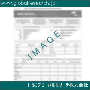 グローバルリサーチ調査資料のイメージ